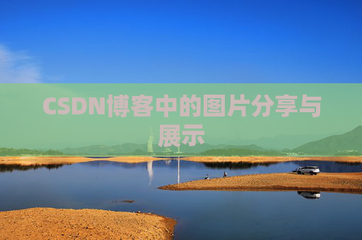 CSDN博客中的图片分享与展示