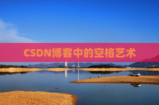CSDN博客中的空格艺术